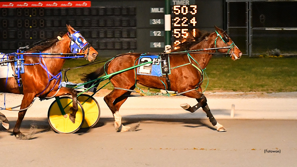 Dreaming Of Lou Shocks In Dover Open Pace