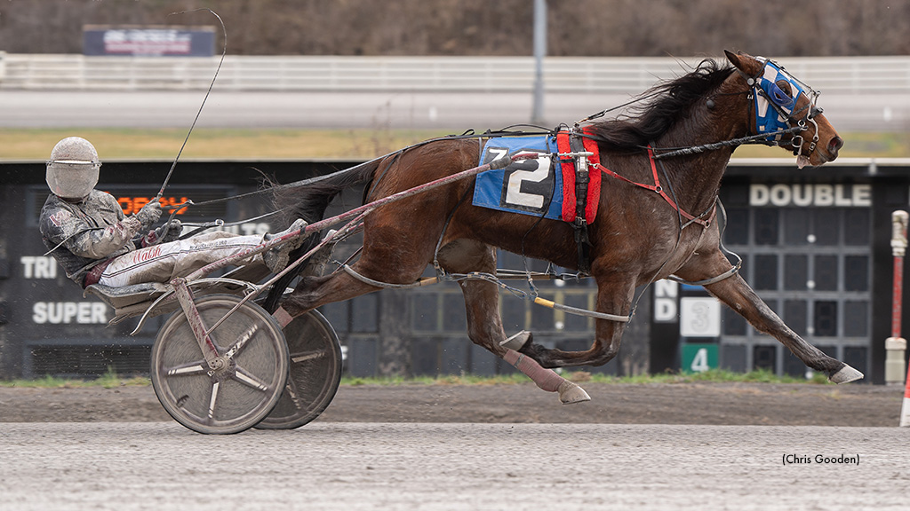 GD Cool Otoole Opens Meadows Series; Merriman Wins Five