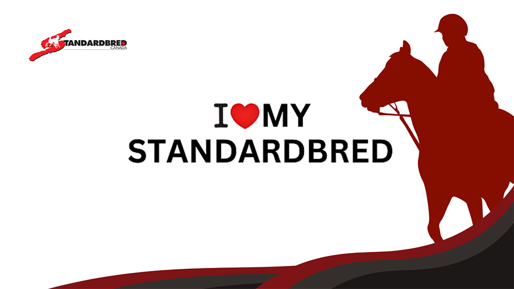 Saddle Up For Success!