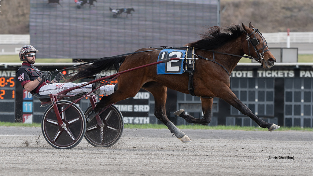 Lexi B Wins Meadows Wohlmuth Split In Career Debut