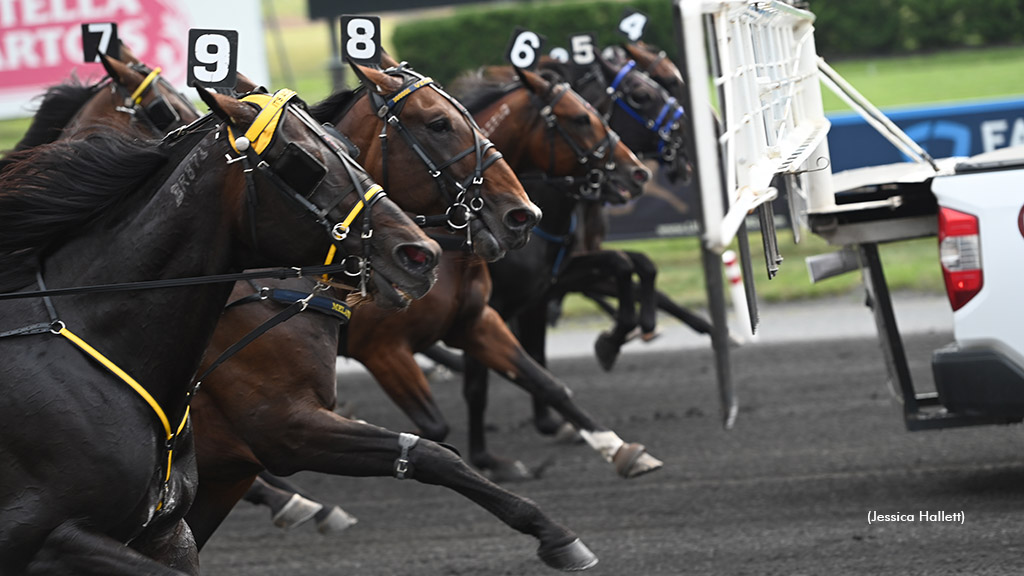 Horses behind the starting gate at The Meadowlands