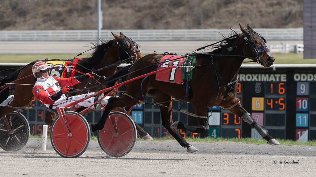 Meadows Hosts Series Second Leg; Wrenn Wins Five