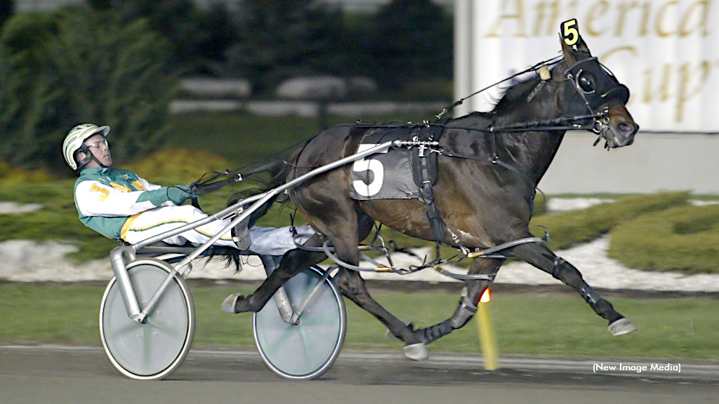 Primetime Bobcat In Mohawk Spotlight