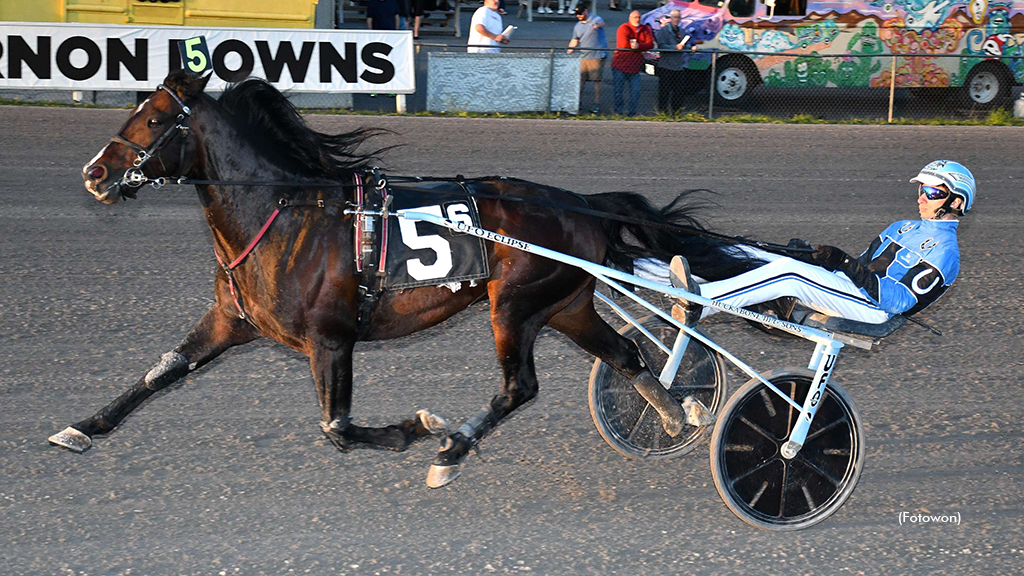 Rock Of Cashel To Stand Stud In 2024