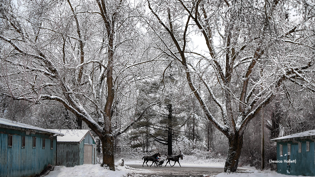 Saratoga Cancels Wednesday Card