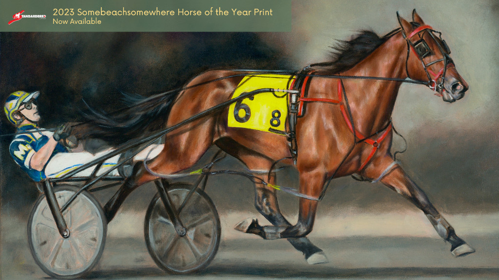 Limited Edition Sylvia Hanover Prints Available
