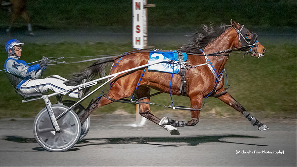Western Summit Wires Fraser Distaff Preferred