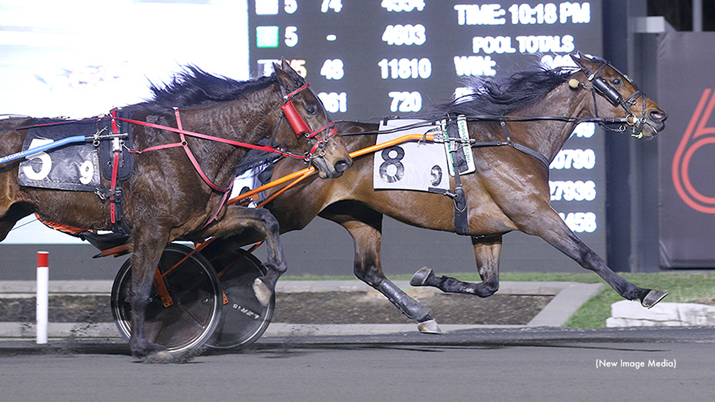 Amigo Volo Wires Mohawk Preferred Trot