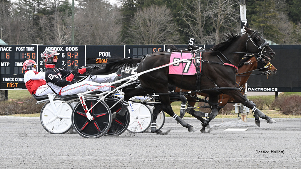 Arizona Circles Saratoga Open Mares