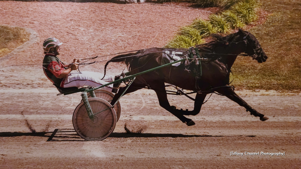 Guglielmi To Represent Canada