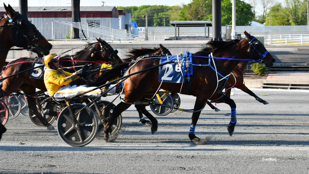 Big Chic Magnet Upsets In Harrington Open