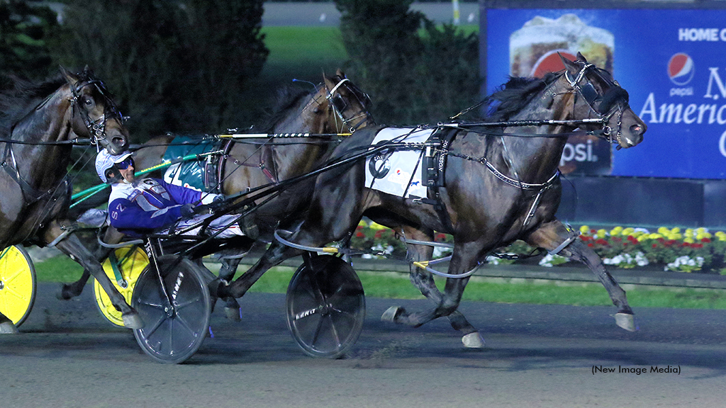 Maiden Pacer Sells For Six Figures