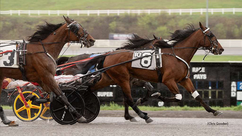 Carrera Hanover Wins Fifth Straight At Meadows