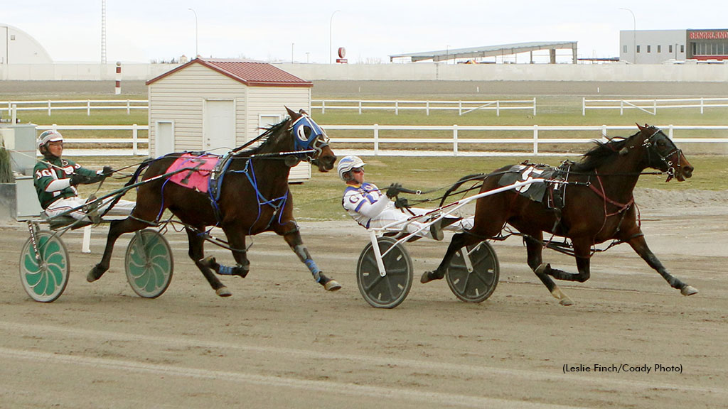 Daisy Corvette Upsets Century Distaffers In Bolstered Preferred