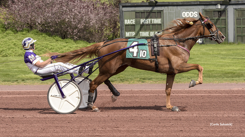 Elista Hanover Takes Weiss Series Championship