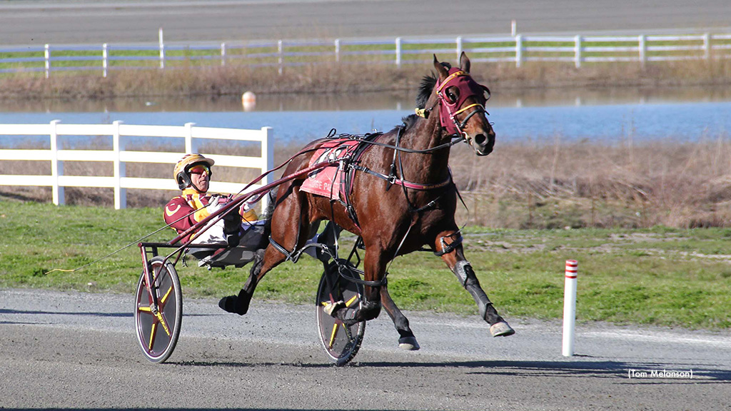 Plainridge Premier Pace Goes To Ever Hoping A