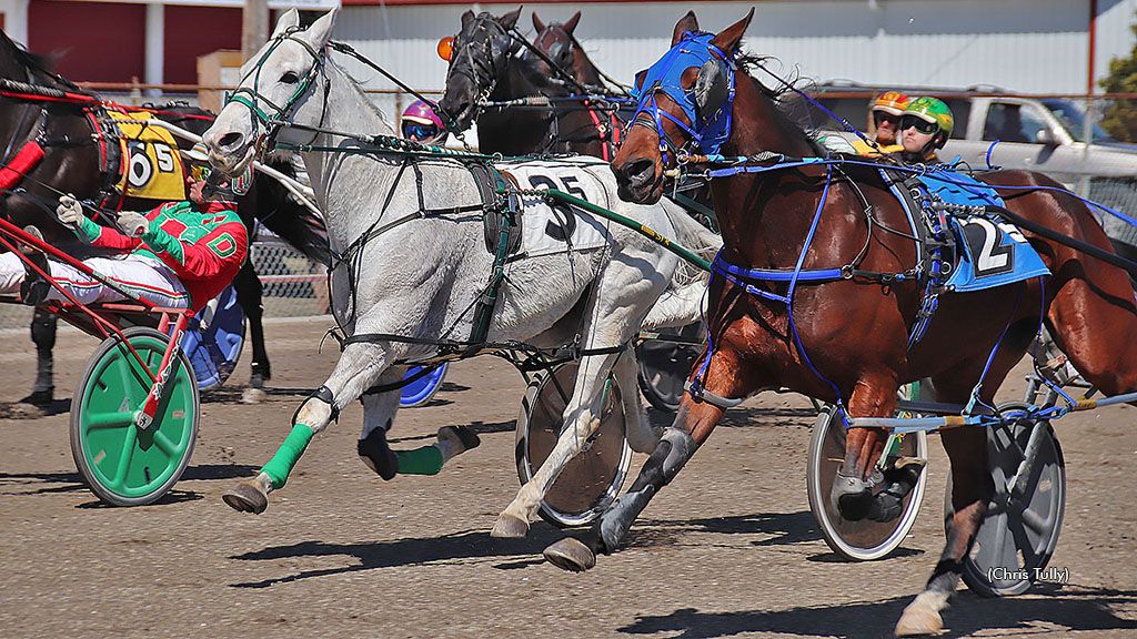 RTN To Carry Cumberland Qualifiers