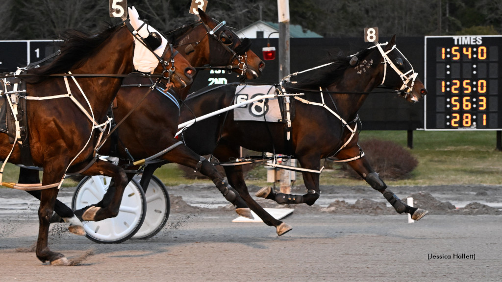 Heaven On High N Wins Saratoga Open