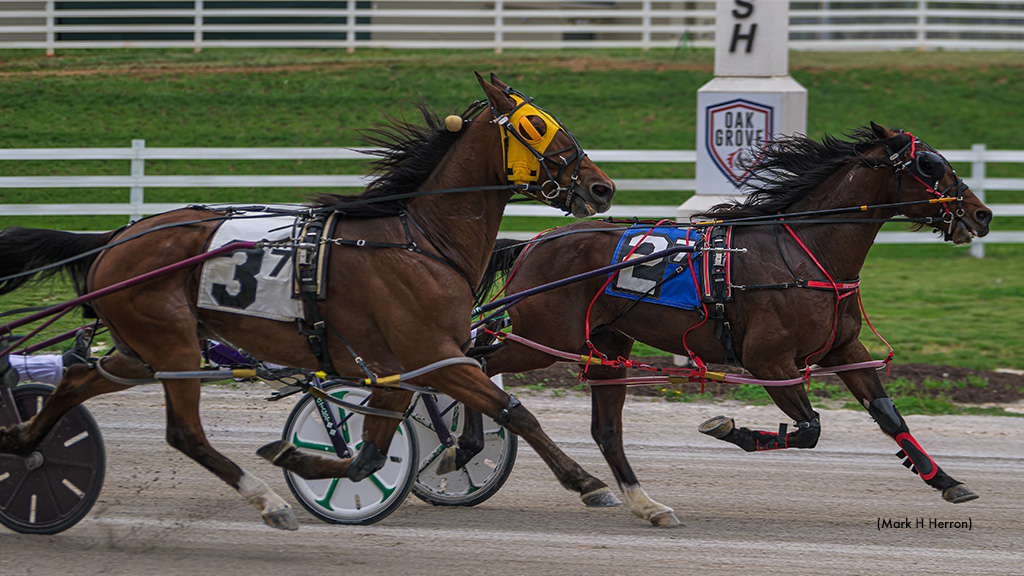 Hezzz A Wise Sky Dominates In Oak Grove Open