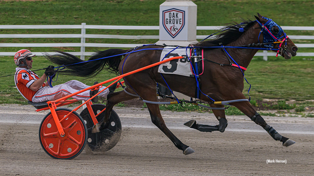 Illusion Seelster Stuns In Oak Grove Open
