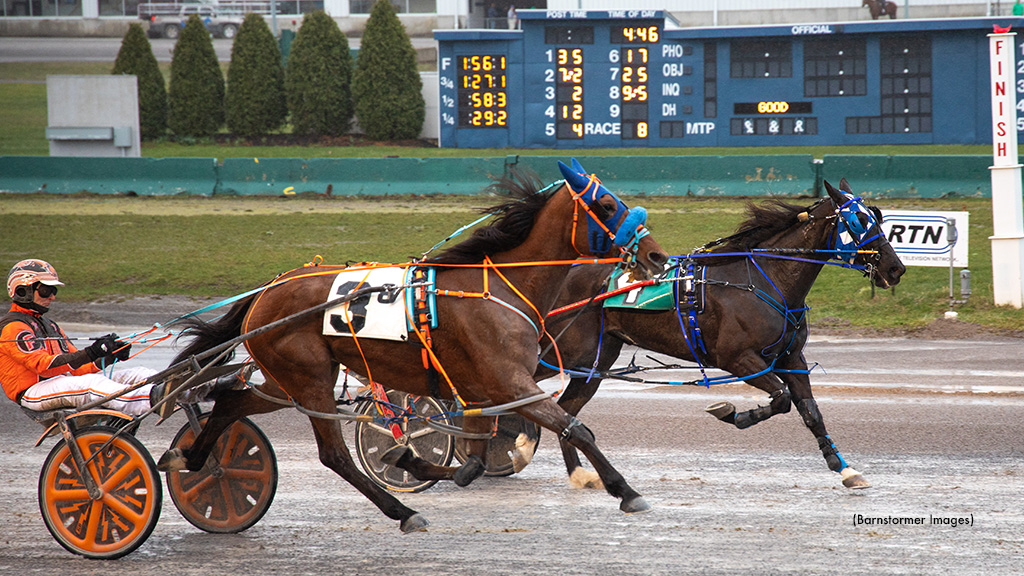 Imprincessgemma A The Queen In Buffalo Open Pace
