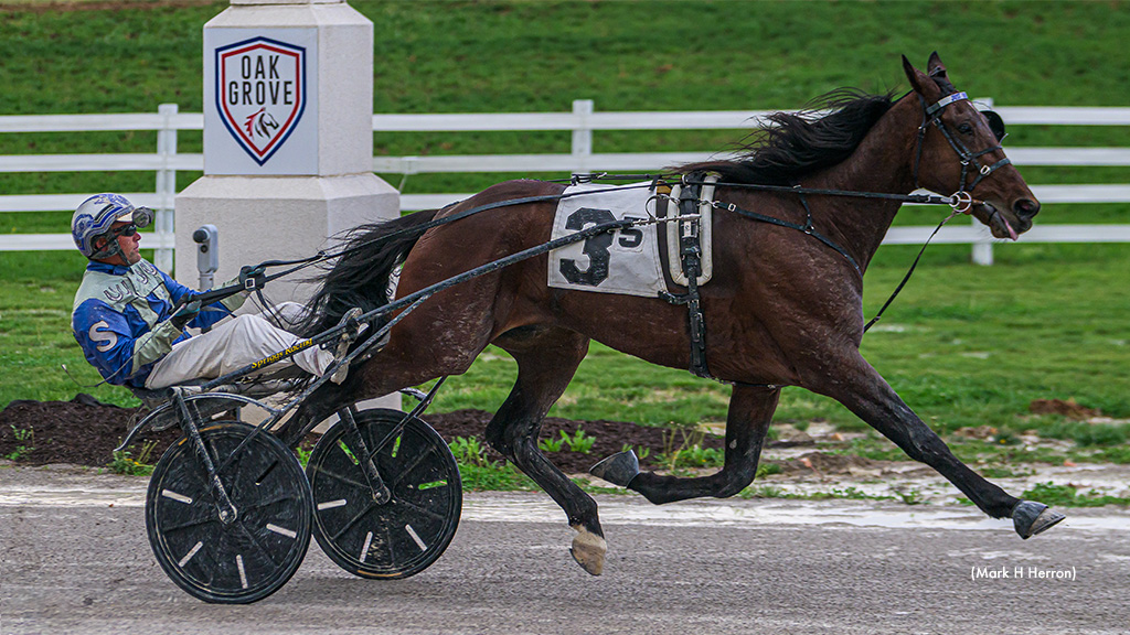 Just For Trix Prevails In Oak Grove Open Trot