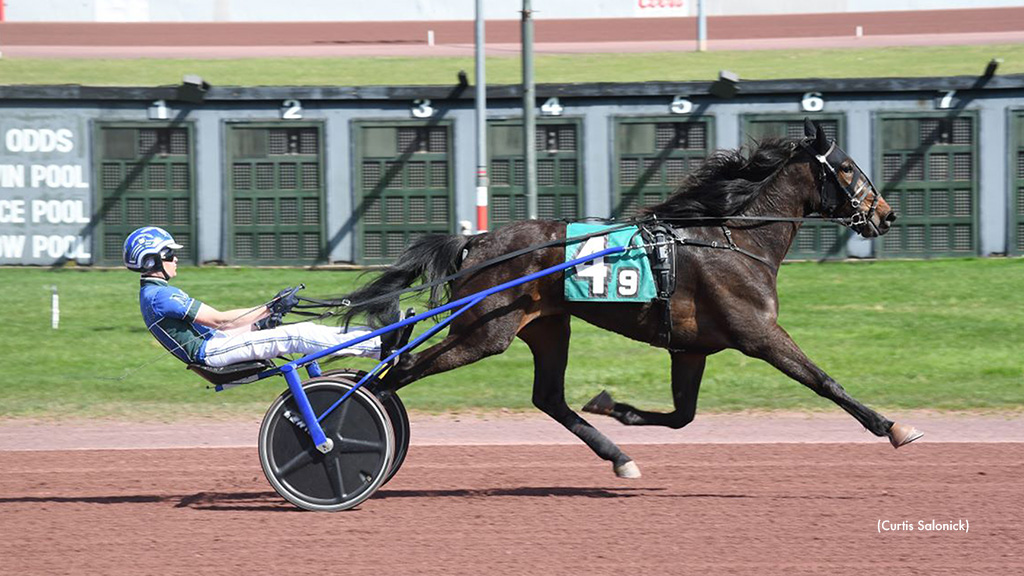 Kinesiology Heads Trotting Fillies In Pocono Weiss Action