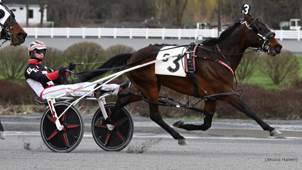 Little Willy Comes Up Big In Saratoga Open