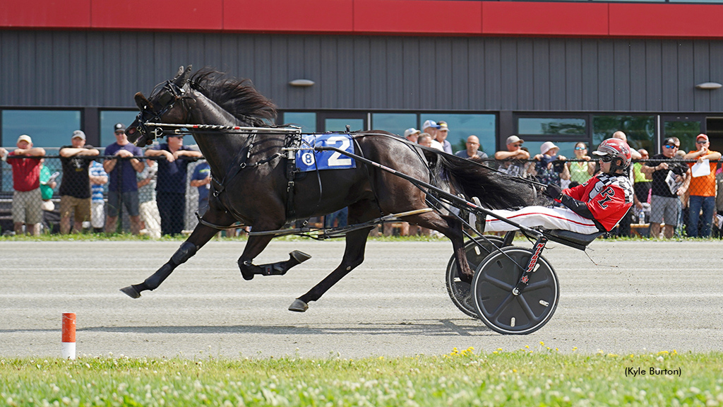 Malignity Grabs P.E.I. Graduate Series Gold