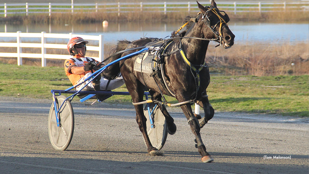 Moonshine Kisses Powers To Plainridge Opening Day Win