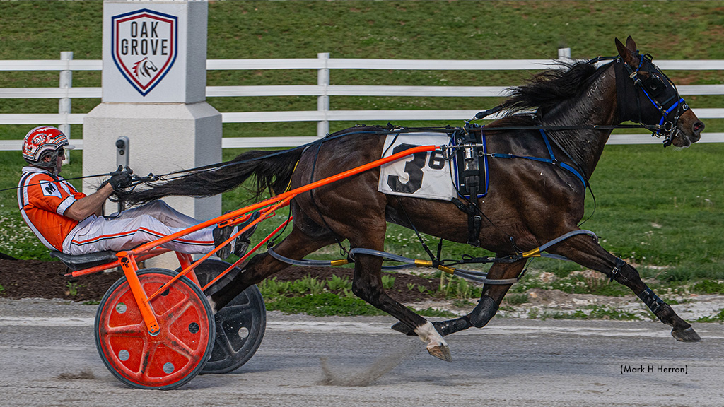 No Lou Zing Victorious In Oak Grove Open Pace