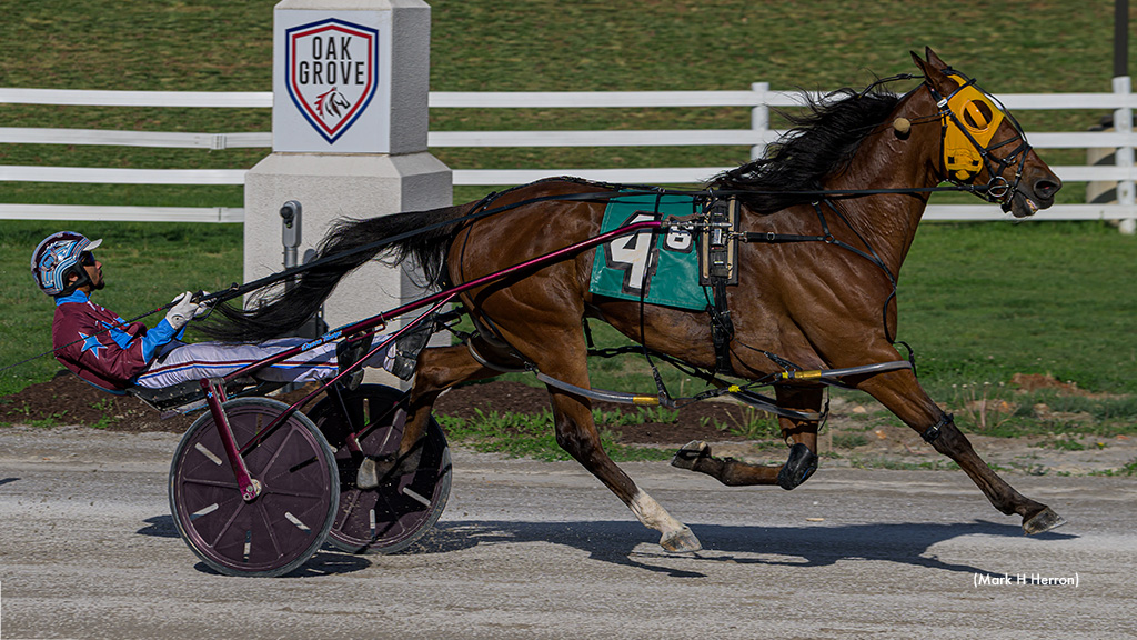 Rocks Shining Star Breaks Through in Oak Grove Open
