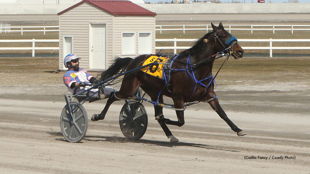 Seventeen Straight For Shark Week