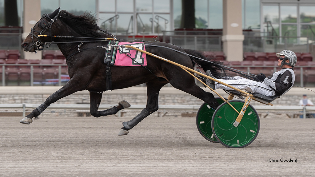 A Splendid Surprise In Meadows Trotting Series