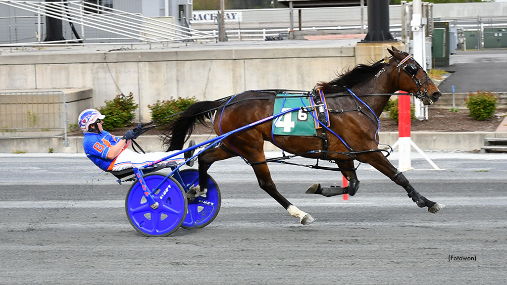 Sprocket Tops Harrington Open Pace