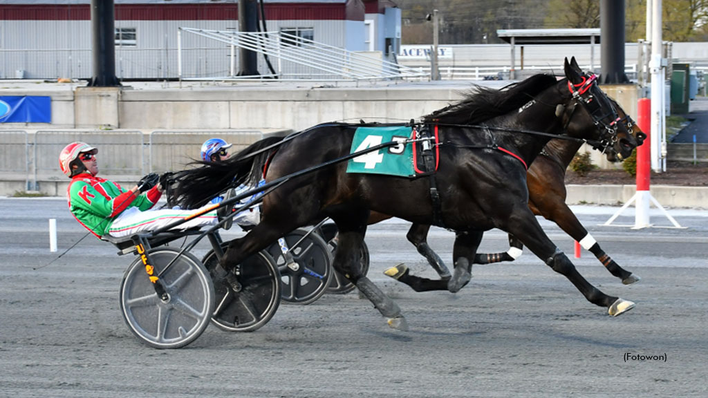 Swan In Motion Wins Harrington Open Trot