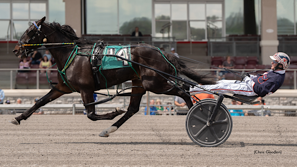 Timeisonmyside Steps Up, Seeks Sixth Straight Saturday