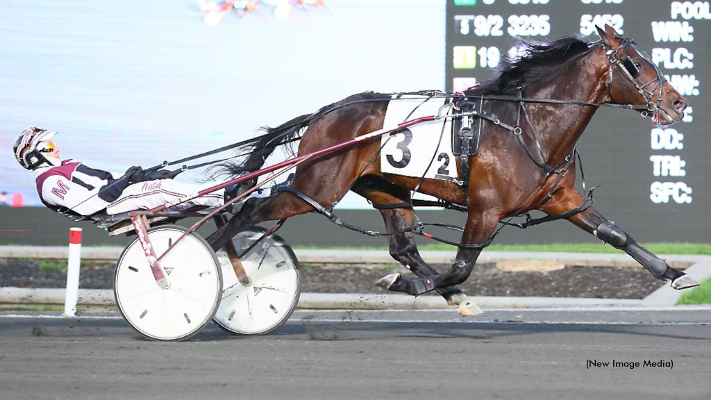Write Me A Rose, Gias Surreal And Emmetts Buddy Shine At Mohawk