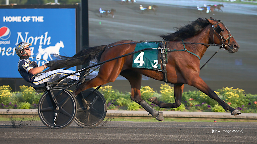 Adare Castle Prepares For Battle