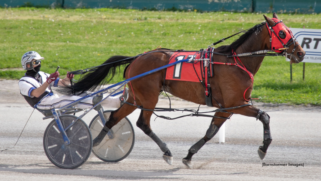 Alta Engen A All The Way At Buffalo