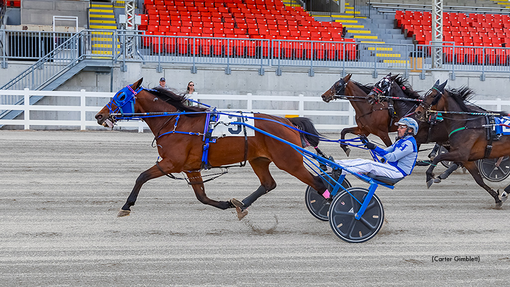 Andy Over Strong In Western Fair Preferred