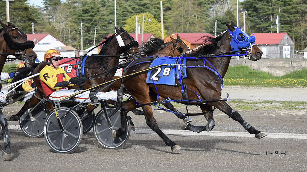 Bet On Joe Rewards Cumberland Punters