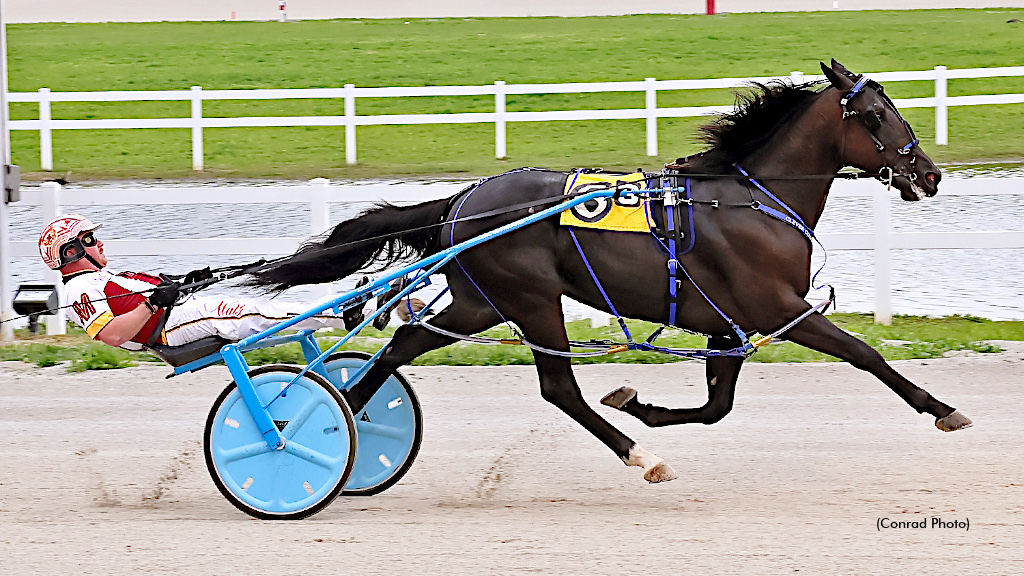Clever Cody Set For Stakes Action Saturday