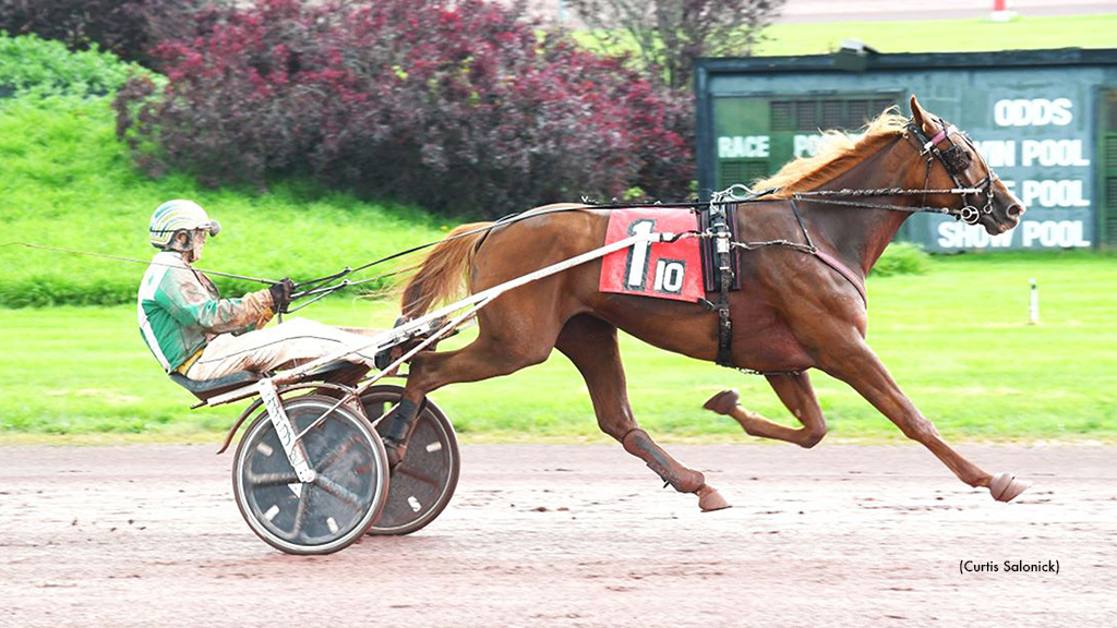 Elista Hanover