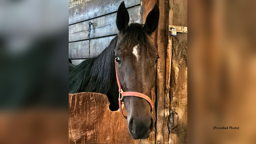 When It’s Time To Go, ‘Fancy’ Is All Business