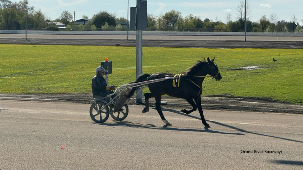 Standardbreds Debut On New Grand River Track