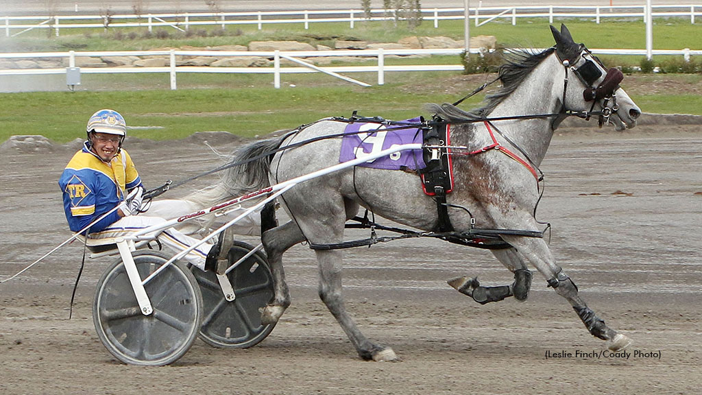 Grey Sea Makes Waves At Century Downs