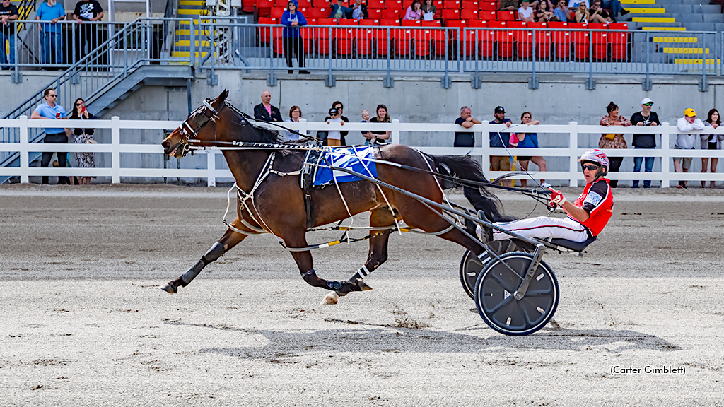 Hollys Treasure Golden In Western Fair Preferred