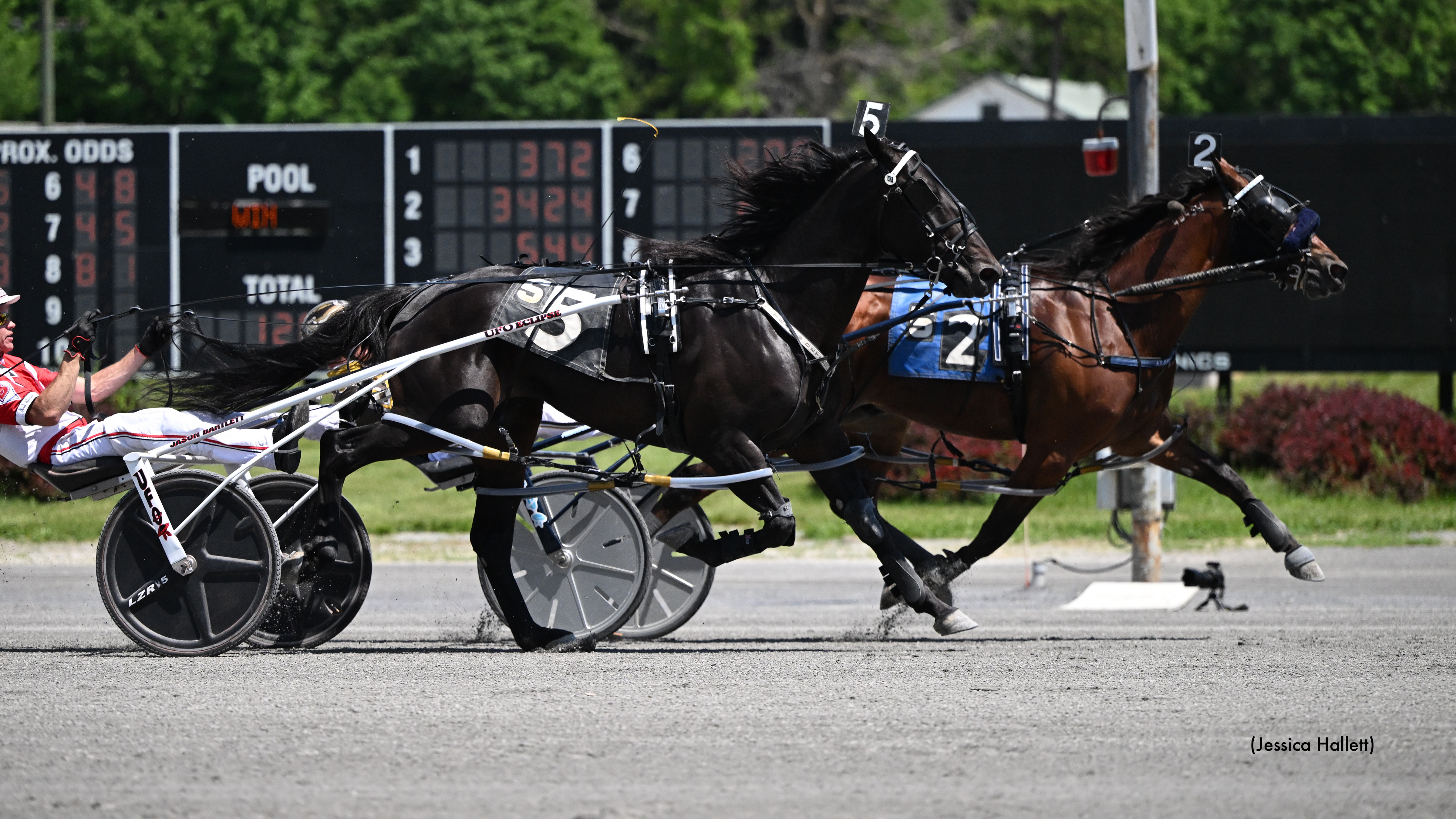 Buter, Alexander Sweep NYSS At Saratoga