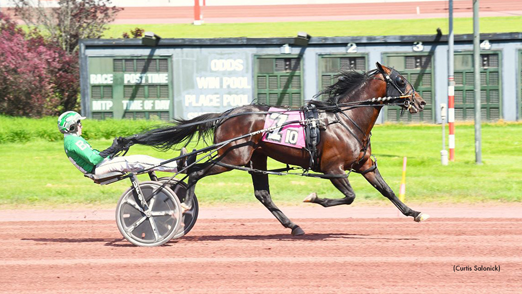 Hungry Angel Boy Impressive Pocono Winner